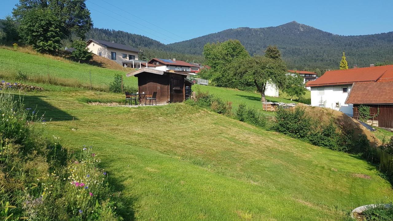 Wohnung Wiesengruen - Osserblick 램 외부 사진